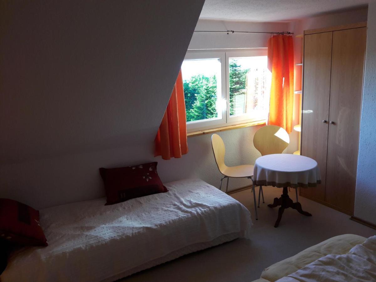 Ferienhaus Fernblick Altenberg  Esterno foto